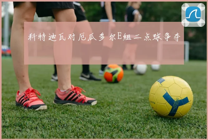 关于「科特迪瓦对厄瓜多尔E组二点球争夺」
