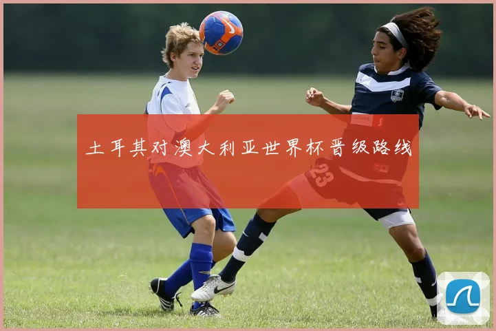土耳其对澳大利亚世界杯晋级路线 — 详细说明