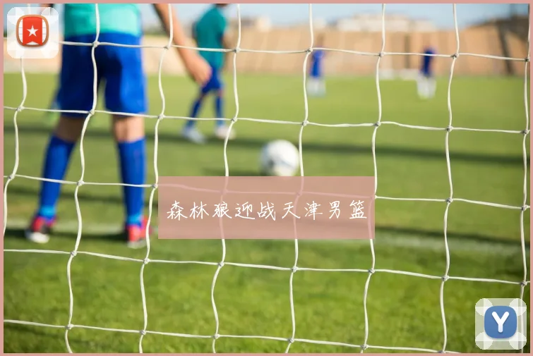 森林狼迎战天津男篮