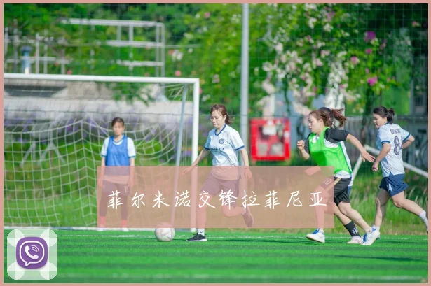 菲尔米诺交锋拉菲尼亚
