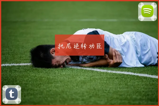 托尼逆转功臣