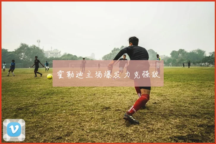 霍勒迪主场爆发力克强敌