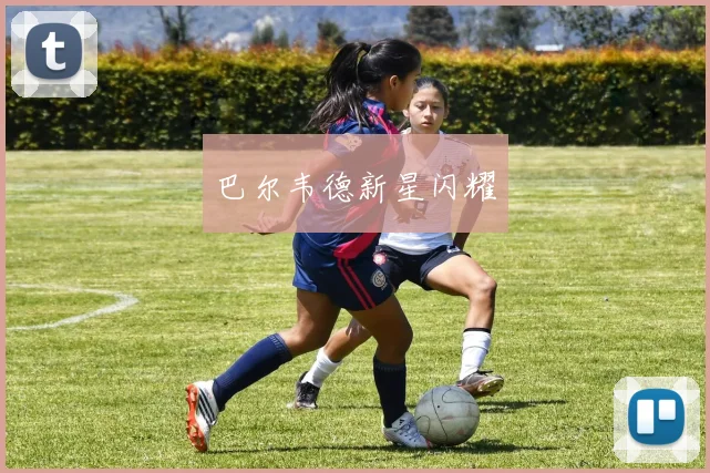 巴尔韦德新星闪耀