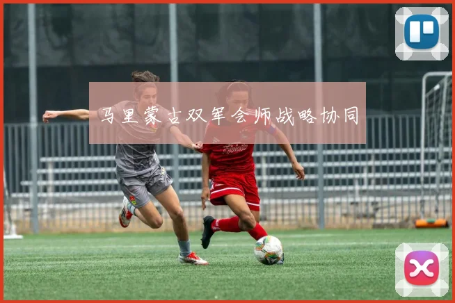 马里蒙古双军会师战略协同