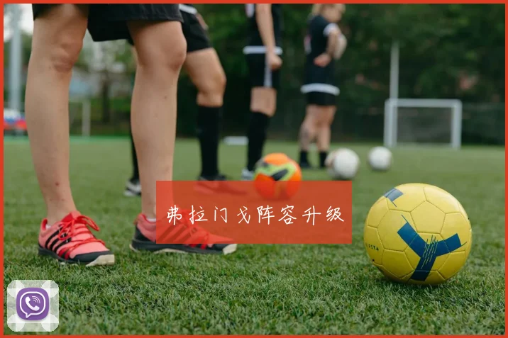 弗拉门戈阵容升级