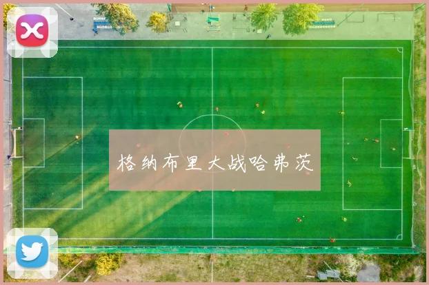格纳布里大战哈弗茨