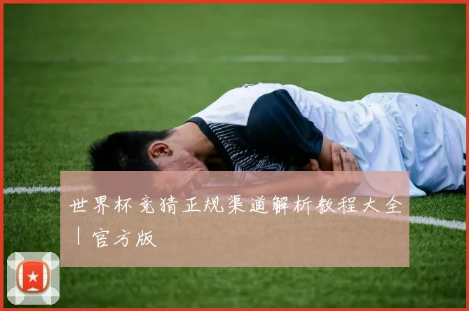 世界杯竞猜正规渠道解析教程大全｜官方版
