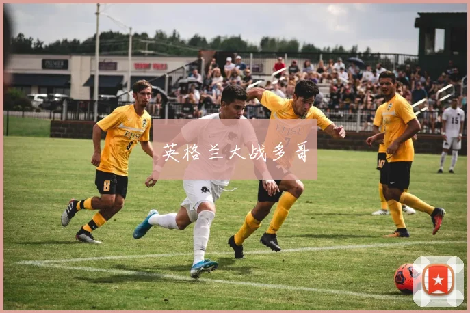 英格兰大战多哥
