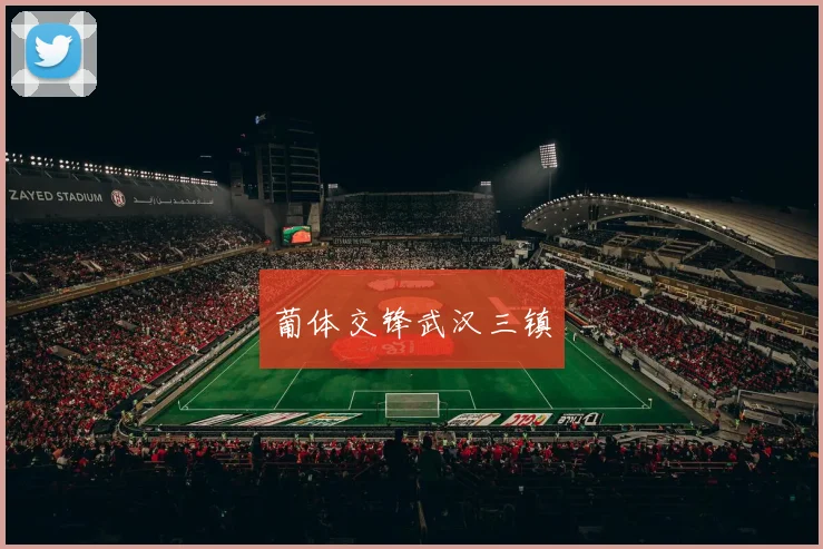 葡体交锋武汉三镇