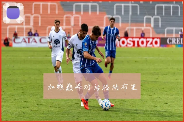 加维巅峰对话格纳布里