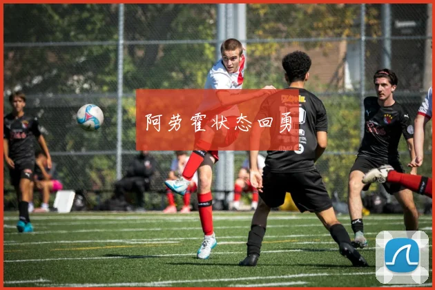 阿劳霍状态回勇