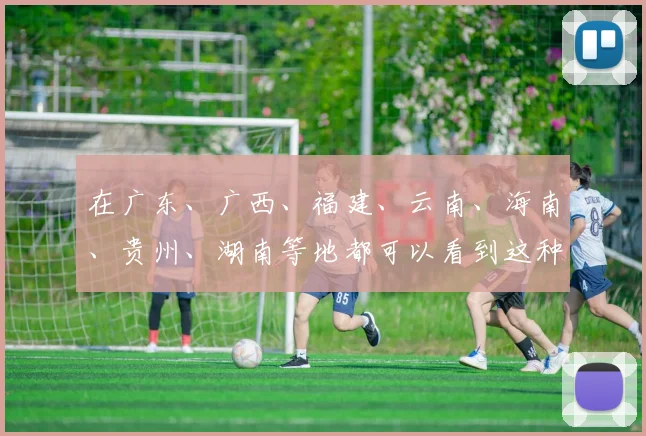 在广东、广西、福建、云南、海南、贵州、湖南等地都可以看到这种蟒蛇