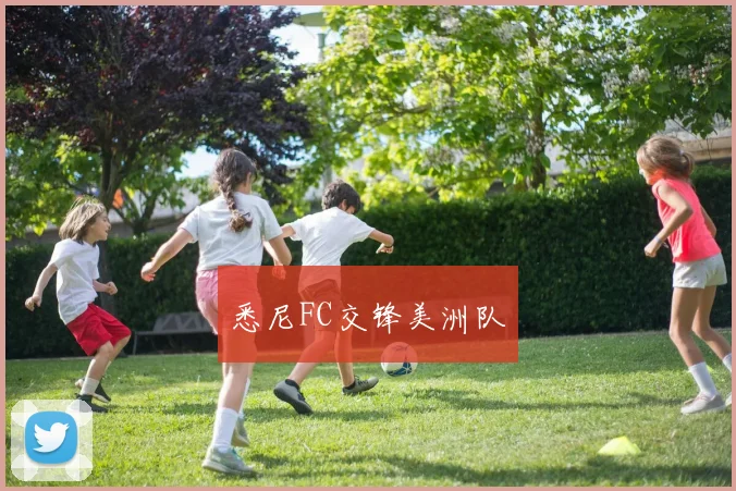 悉尼FC交锋美洲队