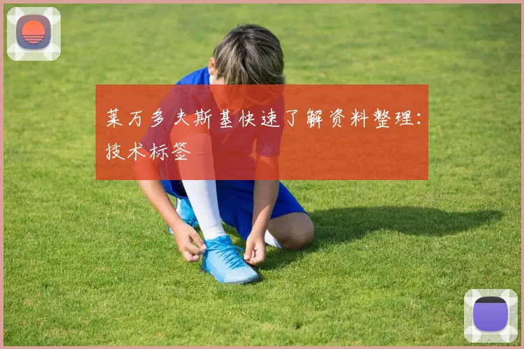 莱万多夫斯基快速了解资料整理：技术标签 — 详细说明
