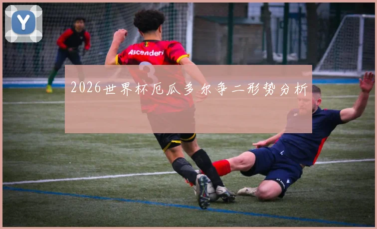 2026世界杯厄瓜多尔争二形势分析 — 详细说明