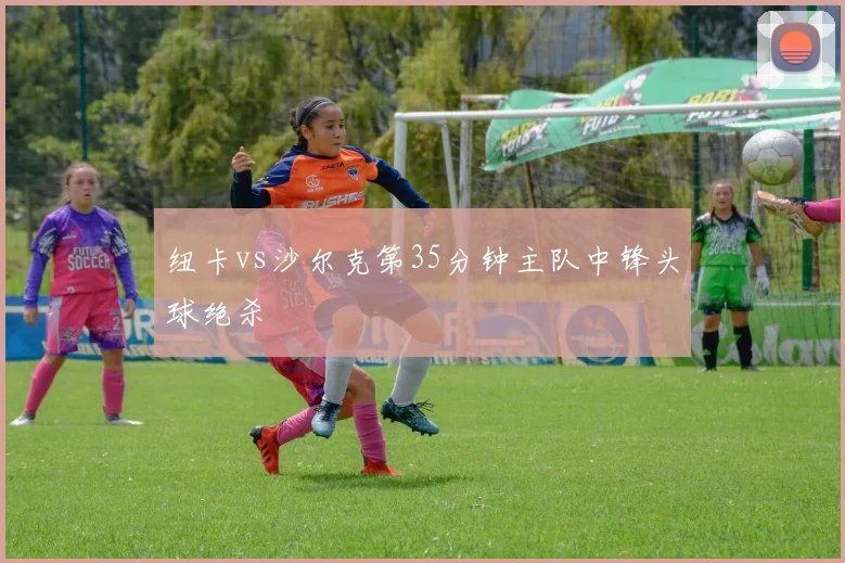 纽卡vs沙尔克第35分钟主队中锋头球绝杀