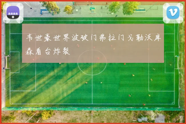 韦世豪世界波破门弗拉门戈勒沃库森看台炸裂