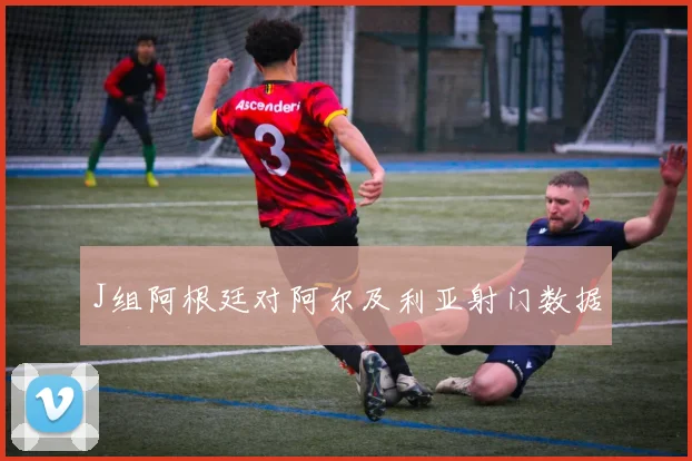 J组阿根廷对阿尔及利亚射门数据