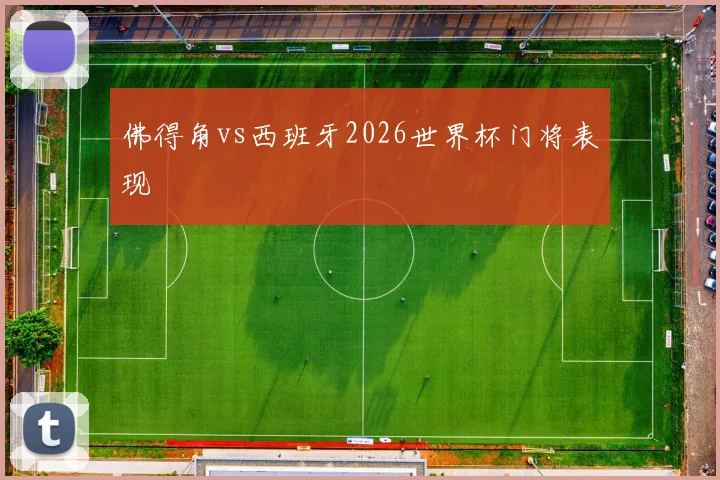 佛得角vs西班牙2026世界杯门将表现